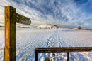 Snowy Walk